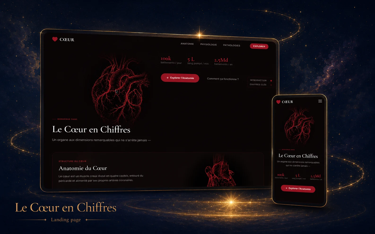 Maquette du concept « Découvrir le cœur en chiffres », page de vulgarisation sur le cœur humain
